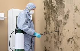 Best Real Estate Mold Inspection  in Lodi, NJ